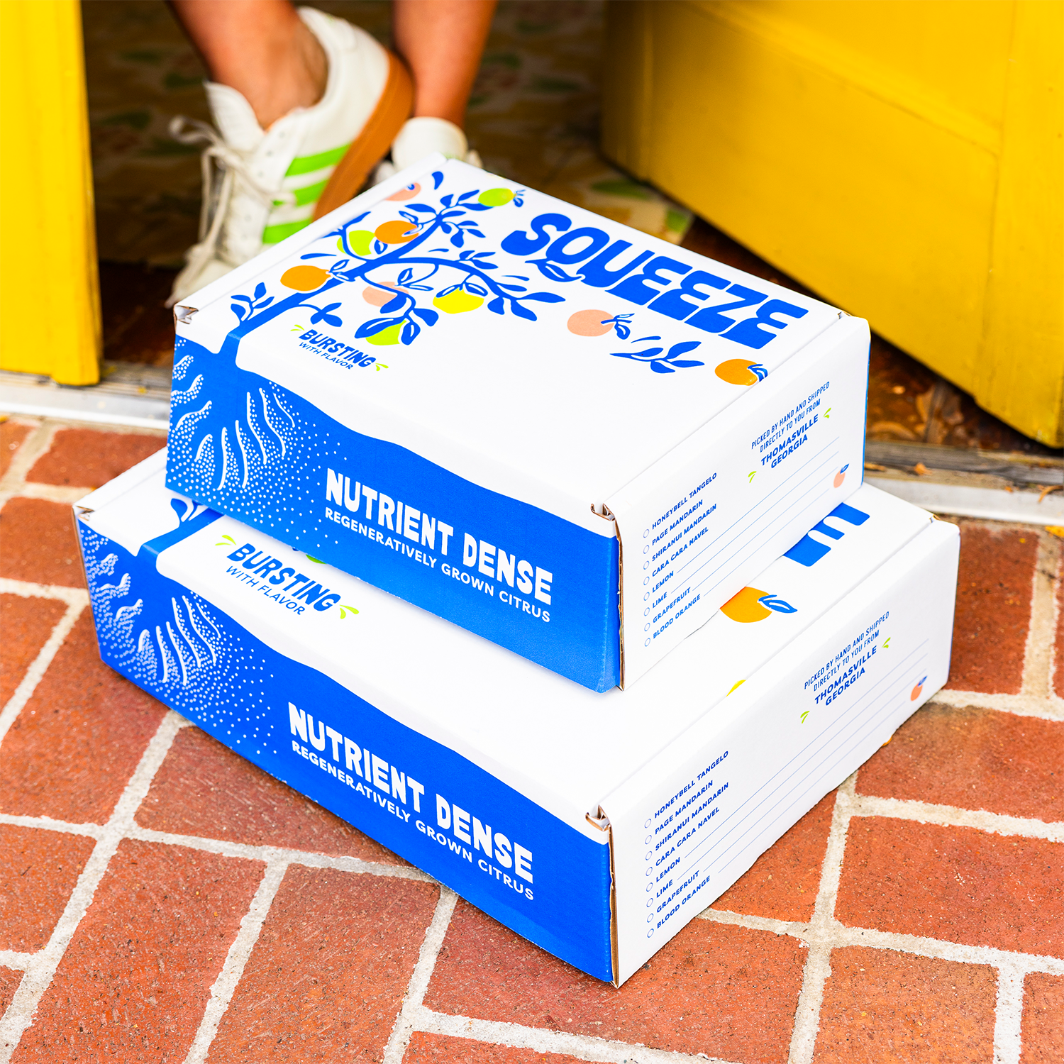 Subscription Box (3 Boxes)