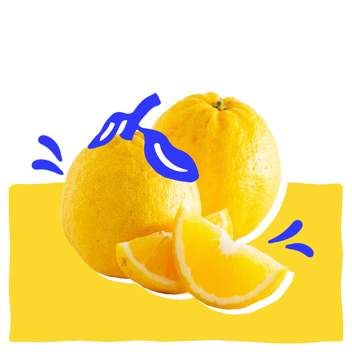 Lemon – Squeeze Citrus