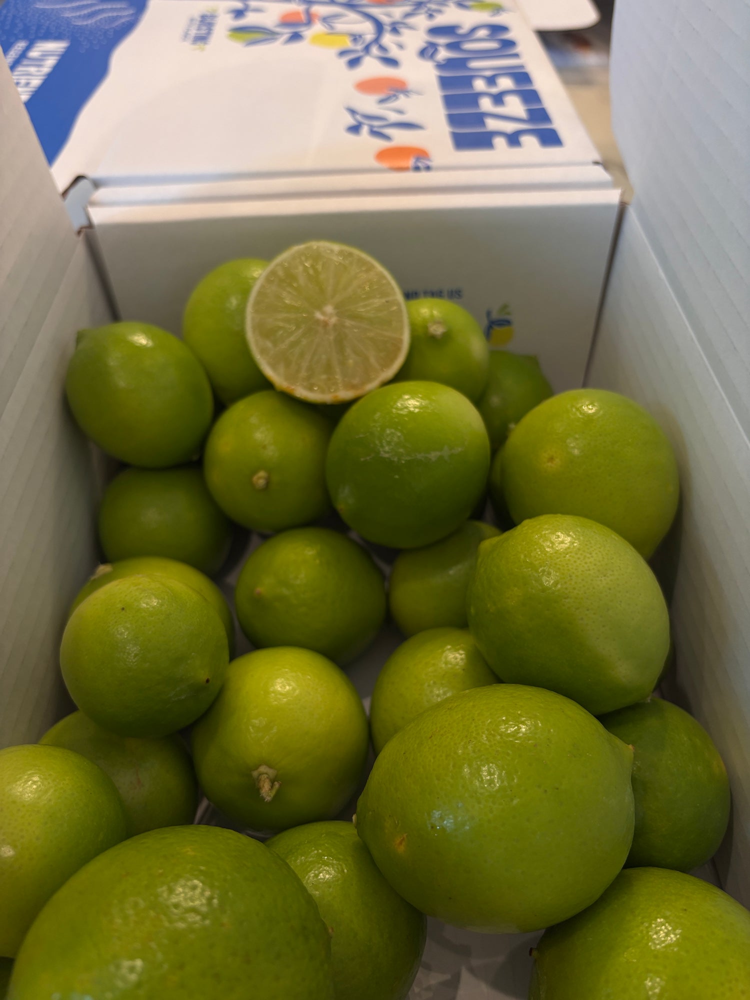 Persian Lime